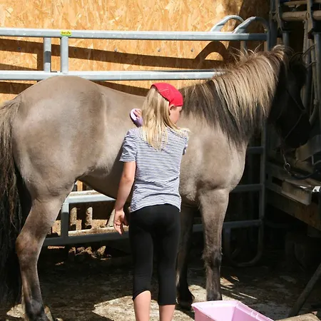 Farma Naturerlebnis Laerchenhof Fendels