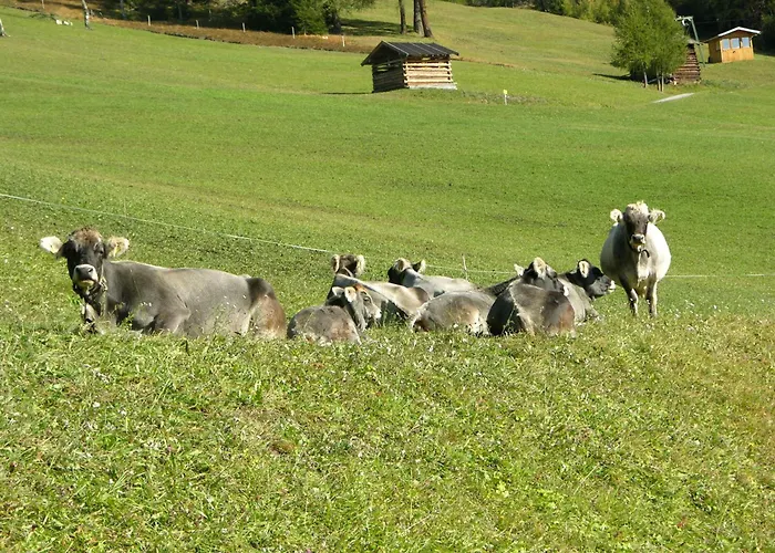 Lantgård Naturerlebnis Larchenhof *