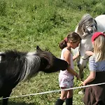 Фермерский дом Naturerlebnis Laerchenhof Фендельс