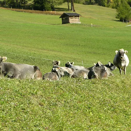 مزرعة للإقامة Naturerlebnis Laerchenhof *